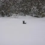 Сasa de vacaciones Niebieski *
