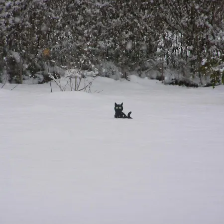 Hébergement de vacances Niebieski *