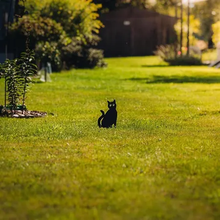 Nyaraló Niebieski Kamień Pomorski