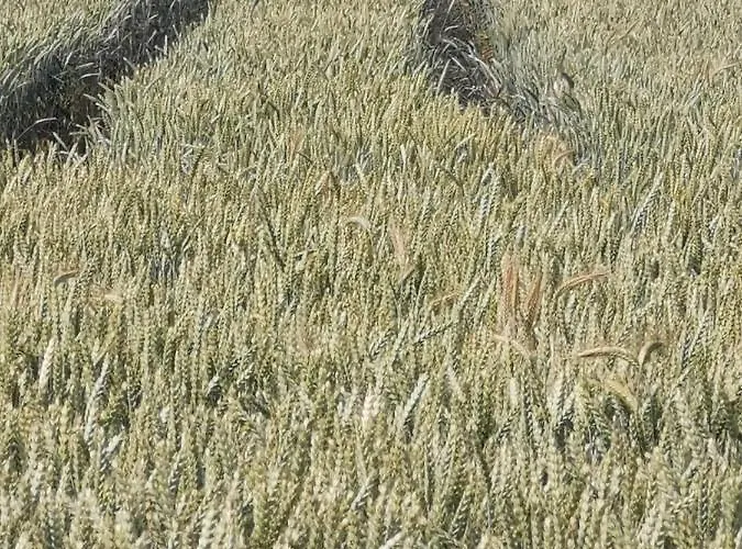 Niebieski * Kamien Pomorski