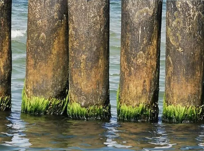 Сasa de vacaciones Niebieski *