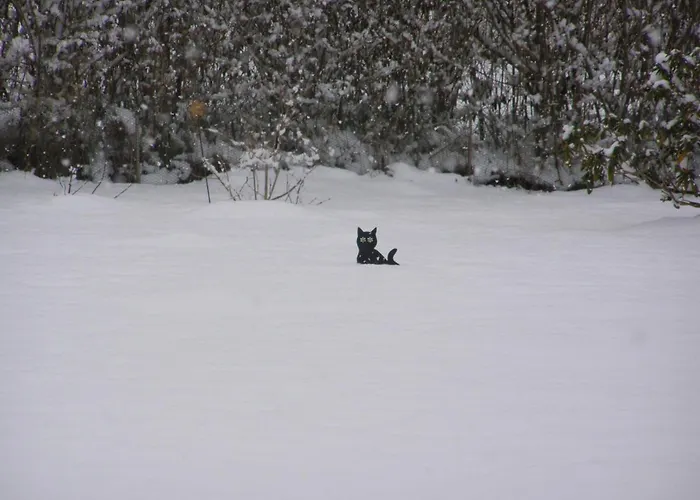 Сasa de vacaciones Niebieski *