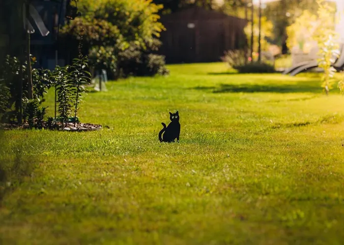 度假居 Niebieski 波莫瑞地区卡缅