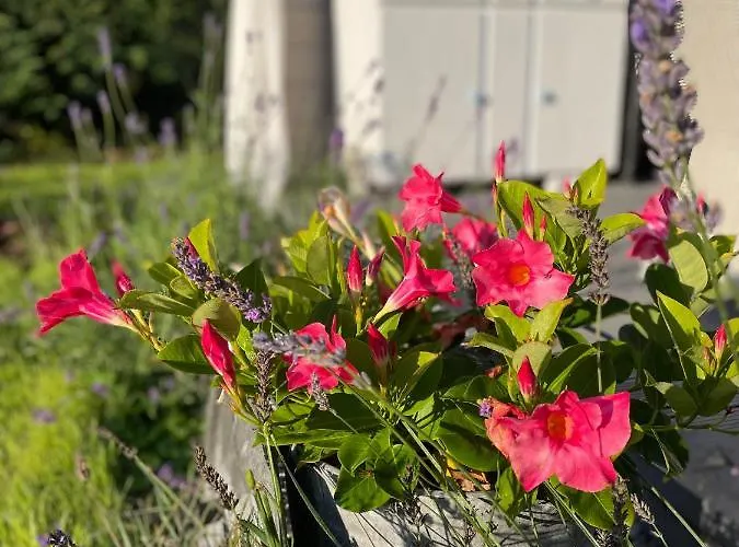 Сasa de vacaciones Niebieski *